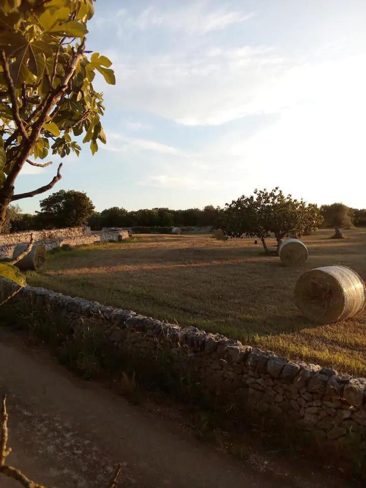Gasthaus Masseria Fra Diavolo Castellana Grotte Exterior foto