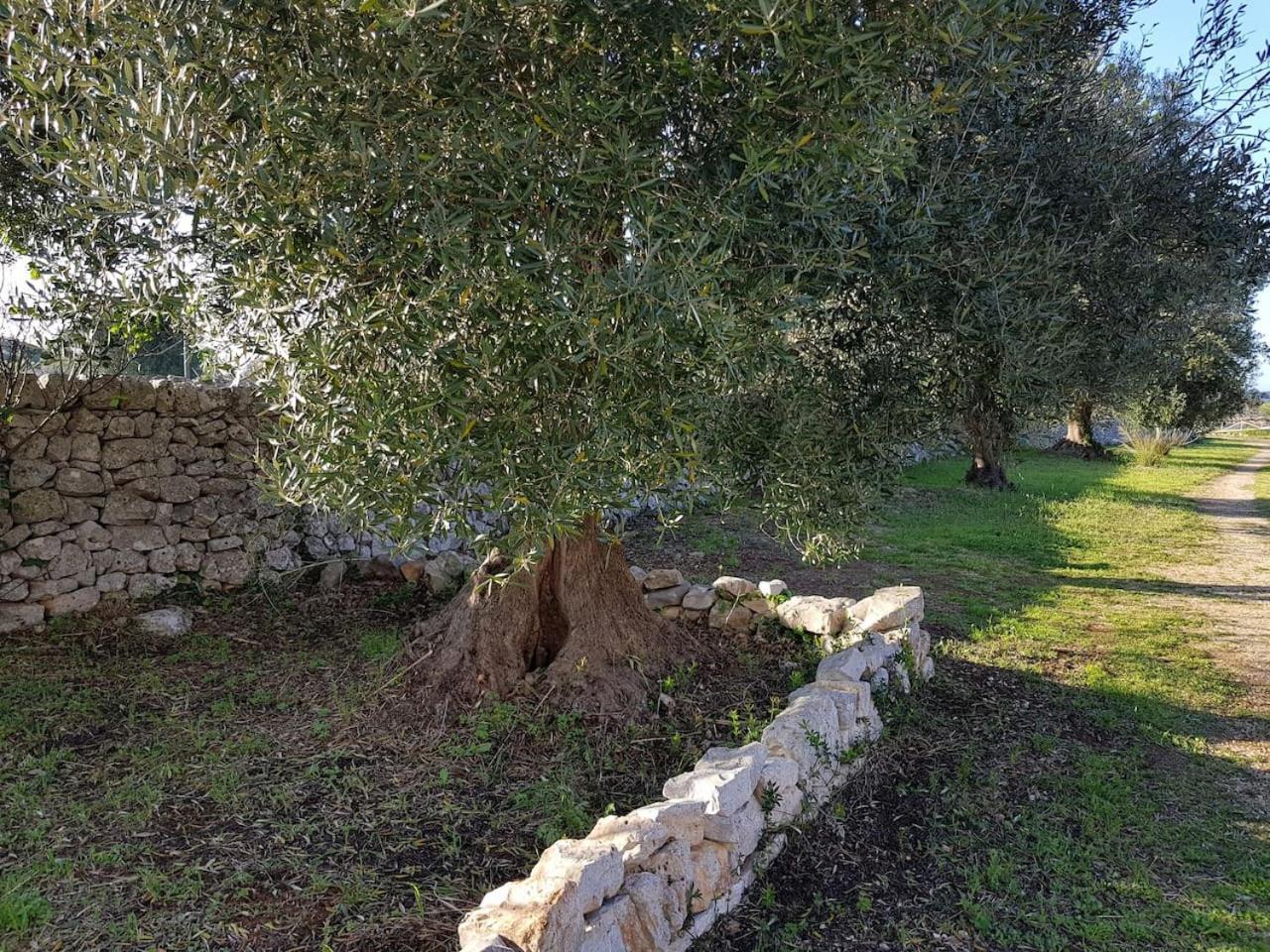 Gasthaus Masseria Fra Diavolo Castellana Grotte Exterior foto