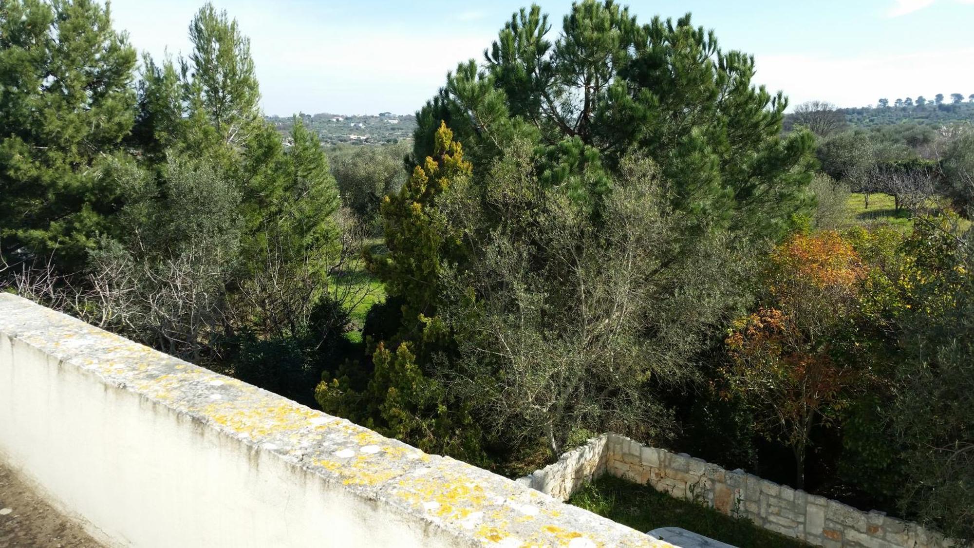 Gasthaus Masseria Fra Diavolo Castellana Grotte Exterior foto